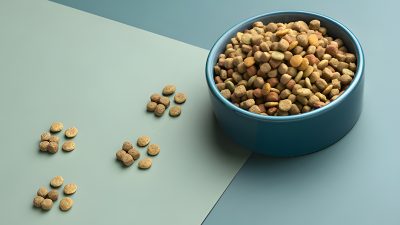 Bol de croquettes pour chat